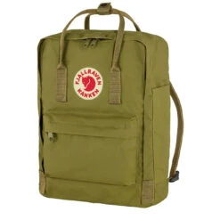 Fjallraven Kanken Classic Backpack Foliage Green -Quality Clothing Store 23905 3