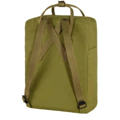 Fjallraven Kanken Classic Backpack Foliage Green -Quality Clothing Store 23905 4